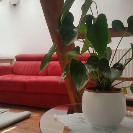 Apartments Vila Bovec Apartment